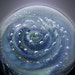 Flameworked Glass 'Galaxy Air Trap' Marble