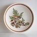 Vintage Mushroom Dinner Plates Set of 4