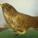 Vintage Bird With Mica Bird Christmas Ornament Or Decoration