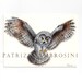 ACEO Original -Owl- Collectible miniature painting ....watercolour card nature