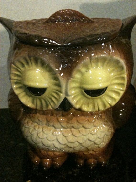 Vintage Owl Canister Set   Il 570xN.335722703 