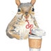 Original Squirrel Watercolor - Squirrel Painting, Coffee, Bendy Straw, Animal Art, Humor, 8x10
