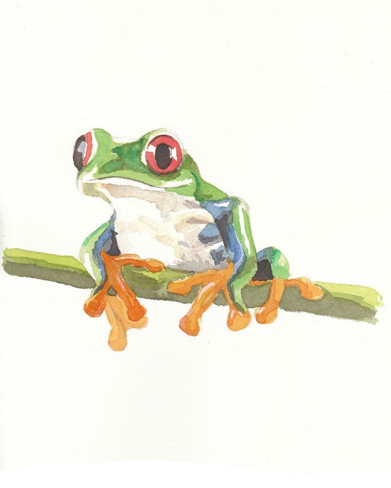 TREE FROG O.R.I.G.I.N.A.L WATERCOLOR PAINTING by WaterInMyPaint