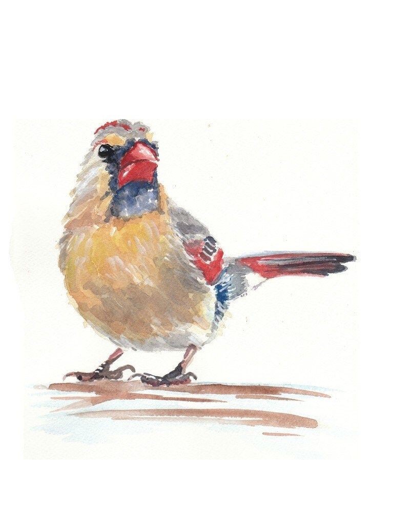 Female Cardinal ORIGINAL Watercolor Painting by WaterInMyPaint