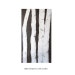 Reserved for Ashlie - Naked Birch Aspen Tree Painting Original Acrylic Art by Vicki Conlon