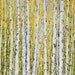 Aspen Birch Tree Original Acrylic Painting on 36 x 48 Canvas by vickisart