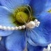 White Swarovski Pearl Dragonfly Hair Pin, Brooch or Bouquet decoration - Tagt