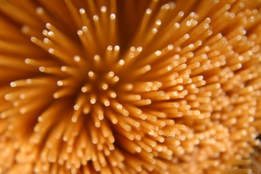 Food Photography Kitchen Abstract Pasta by SCPerkinsPhotography