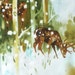 Alexander Henry dappled forest fabric FQ or more