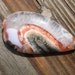 Moroccan Agate Cabochon (MOR032312)