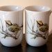 Song Bird set 2 vintage china cups by Enesco 1976 summer kitchen mug set