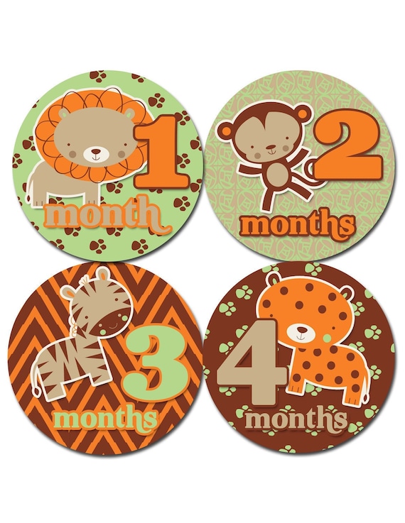 Items similar to Monthly Baby Stickers Baby Month Stickers Baby ...