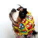 Owls on Green dog snood - only size Small or XS available