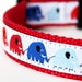 Elephant Train Dog Collar