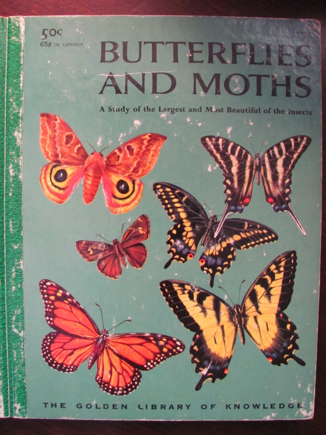 Vintage Little Golden Book BUTTERFLIES AND MOTHS Circa 1958 B