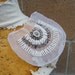 Cute beaded applique 1 pieces