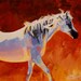 Arabian Horse Art Original Acrylic Painting Red Orange White Horse Blue Sunset colors