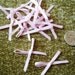 700 Pre-tied Baby Pink 1/8" Satin Ribbon Bows