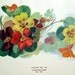 Vintage Book Plate Nasturtiums Flower Decor