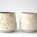 Pair of white and fawn teacups with Australian Flannel Flower design