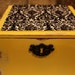 Shabby Chic Black Velvet and Yellow Cigar Box