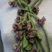 Felted necklace "Plant"