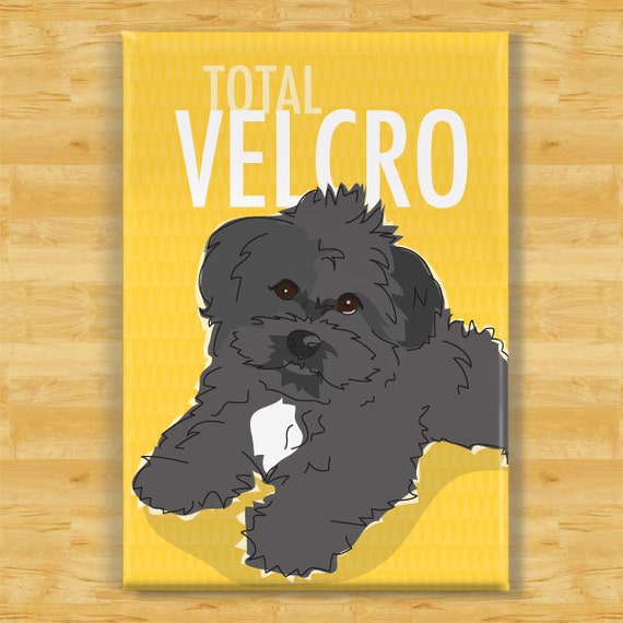 Havanese Total Velcro Black Havanese Gifts