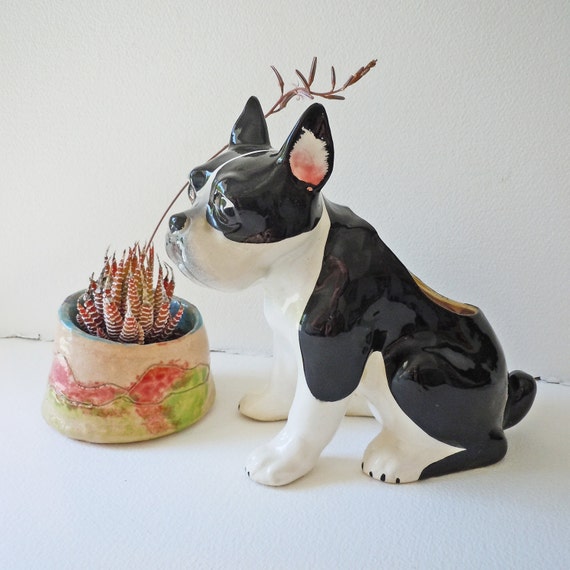 Vintage Boston Terrier planter to benefit French Bulldog