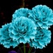 The Full Bloom Dahlia Handmade Paper Flower - set of 5 flowers - Teal Blue - Stems Included - Custom order available