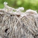 Llama Yarn Natural Fiber