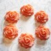 Set of 6 Peachy Orange Roses Flat Back 22mm Cabochons Flower Blooms Shapes