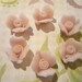 Sweet Pale Pink Ceramic Rose Flower Flat Back 8mm Cabochons Qty 6