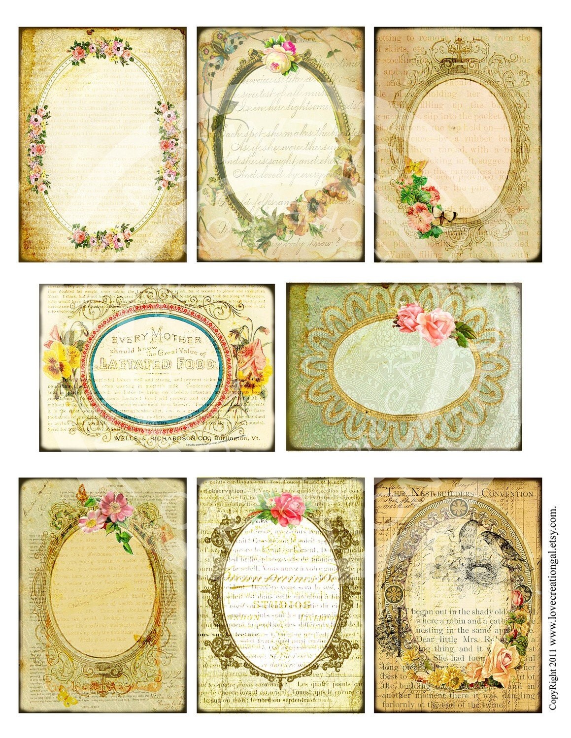 8 Vintage Victorian Flower Rose Frames Postcard ledge Border