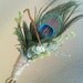 Peacock Succulent Boutonniere
