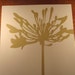Custom Floral Silhouette Cut Out for J. Jones