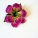 Hibiscus flower handfelted wool brooch - Ready to Ship Now - Gift under 25 USD