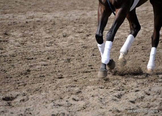 Items similar to Horse Photography, Racing Horses Hooves Fine Art ...