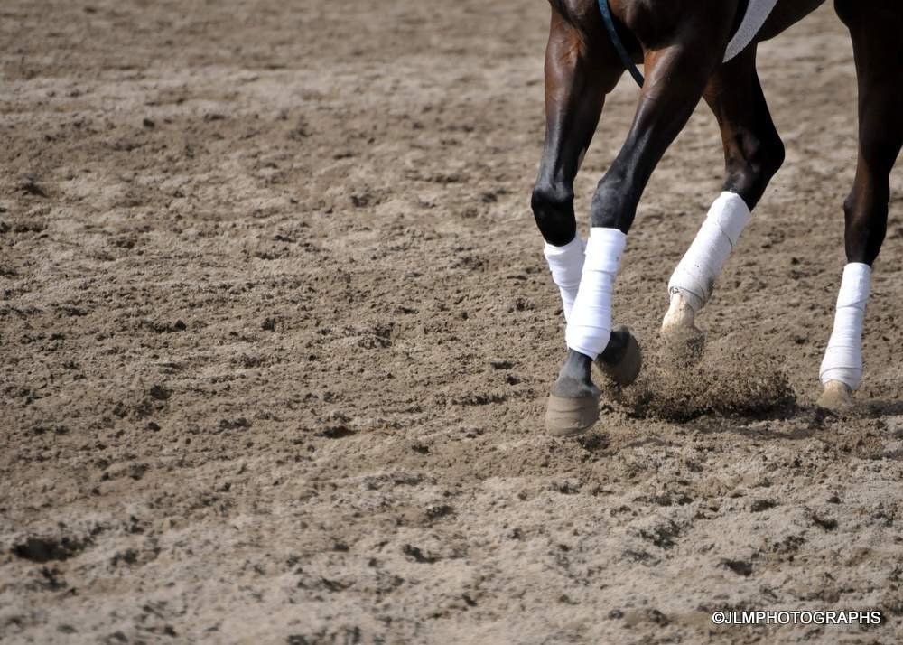 Horse Photography Racing Horses Hooves Fine Art by JLMPHOTOGRAPHS