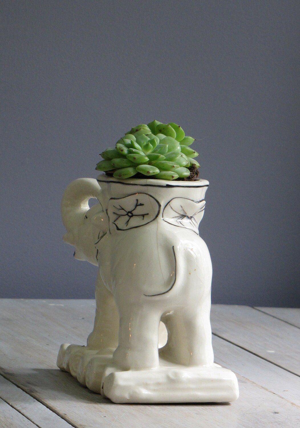 vintage elephant planter by wretchedshekels on Etsy