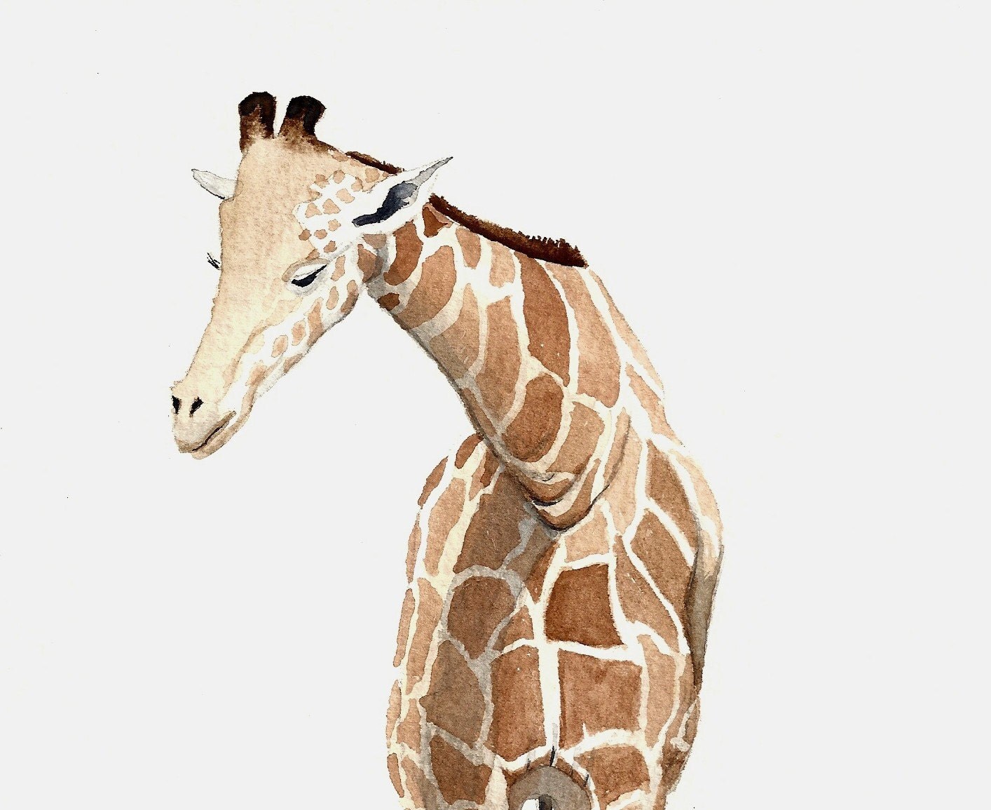 Giraffe Art Signed Art Print of my Original by paintedbliss