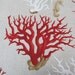 Seahorse Coral one yd min/need more let us know