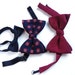 Retro Bow Ties - Vintage Lot 1970s Accessories in Black, Maroon, Navy Blue Floral / Studly Bows