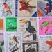 50 Fine Feathered Friends Vintage US and Worldwide Postage Stamps Philately Ornithology Falcon Black Swan Parrot Toucan Owl 2