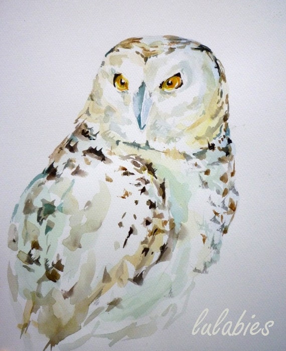 Snowy Owl 8x10 OWL original watercolor