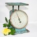 Blue Kitchen Scale with original Decals