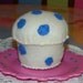 Blueberry muffin