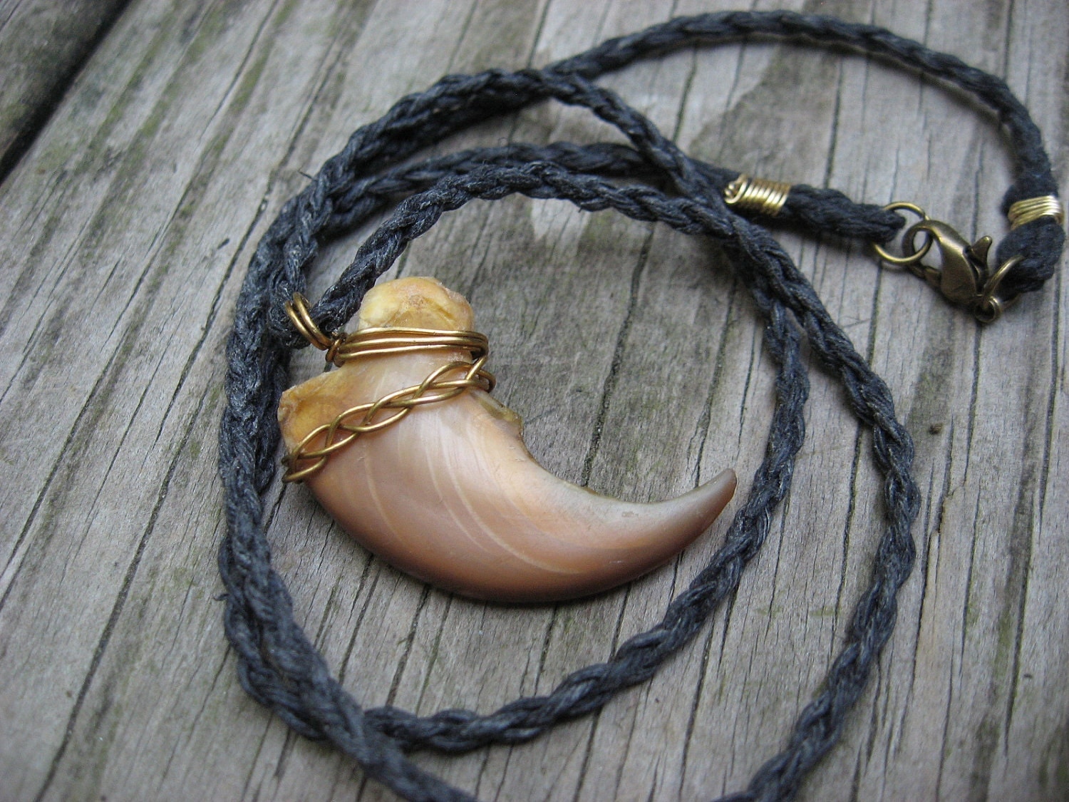 Vintage Restored Bear Claw necklace wrapped in Brass on a