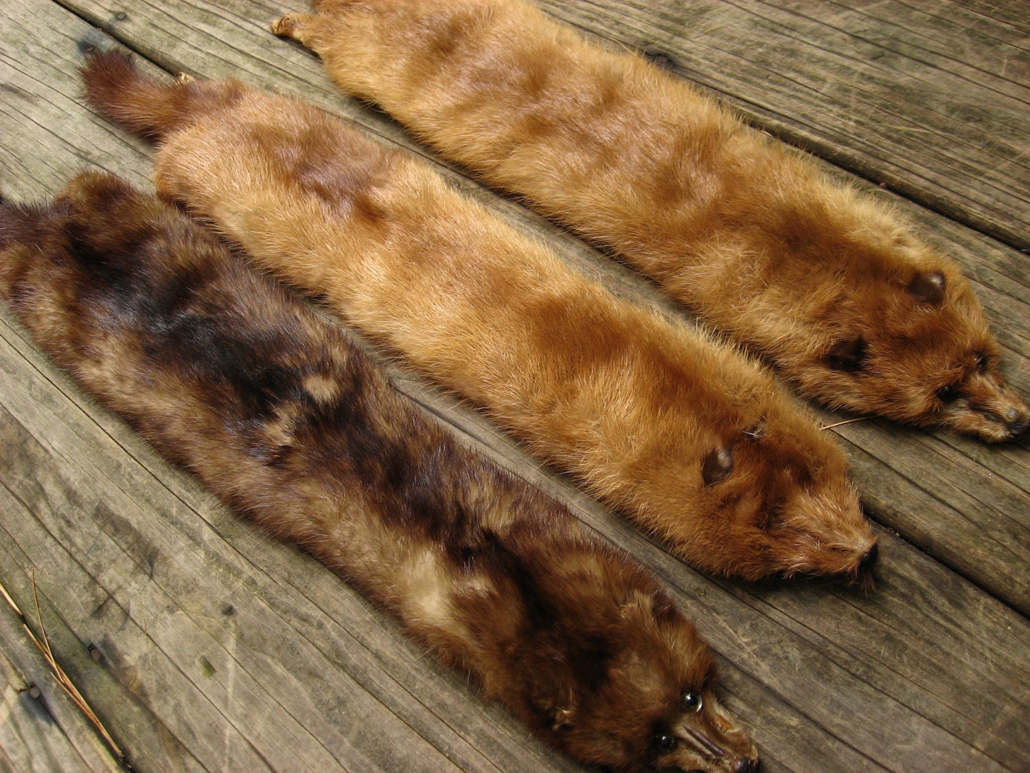 Lot of 3 vintage mink pelts 2 blonde 1 brown destash