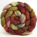 combed top, polworth silk roving, spinning supplies, hand painted roving