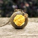 Yellow Rose Locket, Antique Gold Brass, 24 Inch Chain